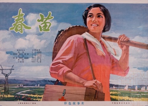 台湾身份证如何申请健康码